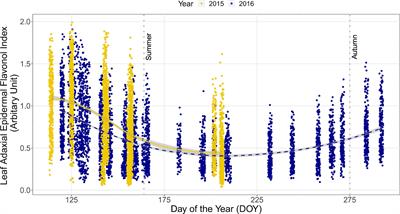 Seasonal Patterns in Spectral Irradiance and Leaf UV-A Absorbance Under Forest Canopies